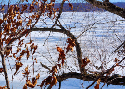 Ice was sourced from the lake